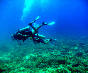 Cover-+-Scuba-Diving
